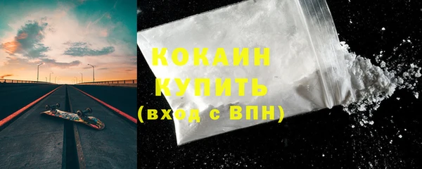 гашик Аркадак